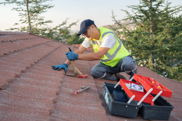 Best Commercial Roofing Services  in Sandwich, IL